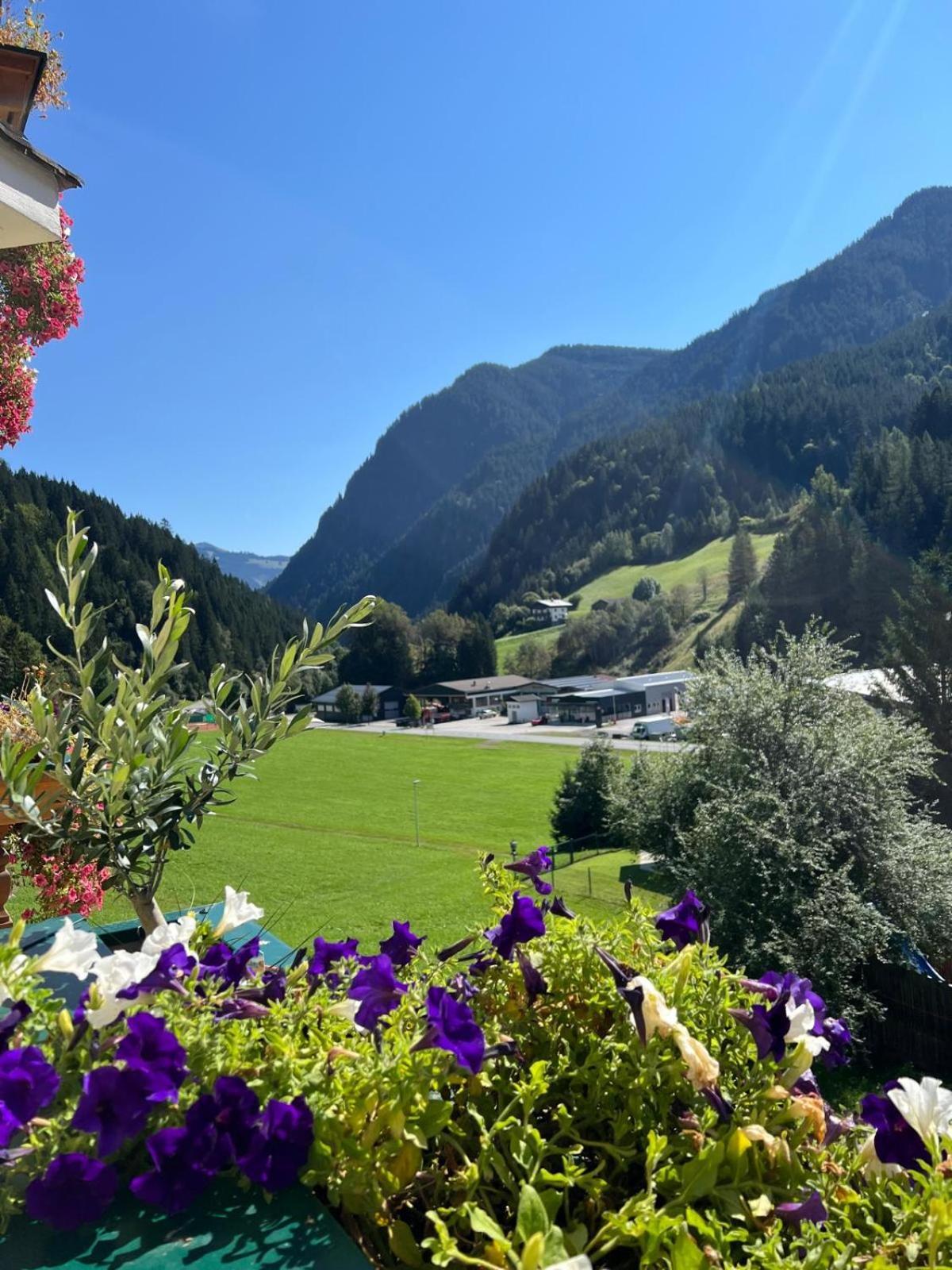 Landhaus Servus Viehhofen Bagian luar foto