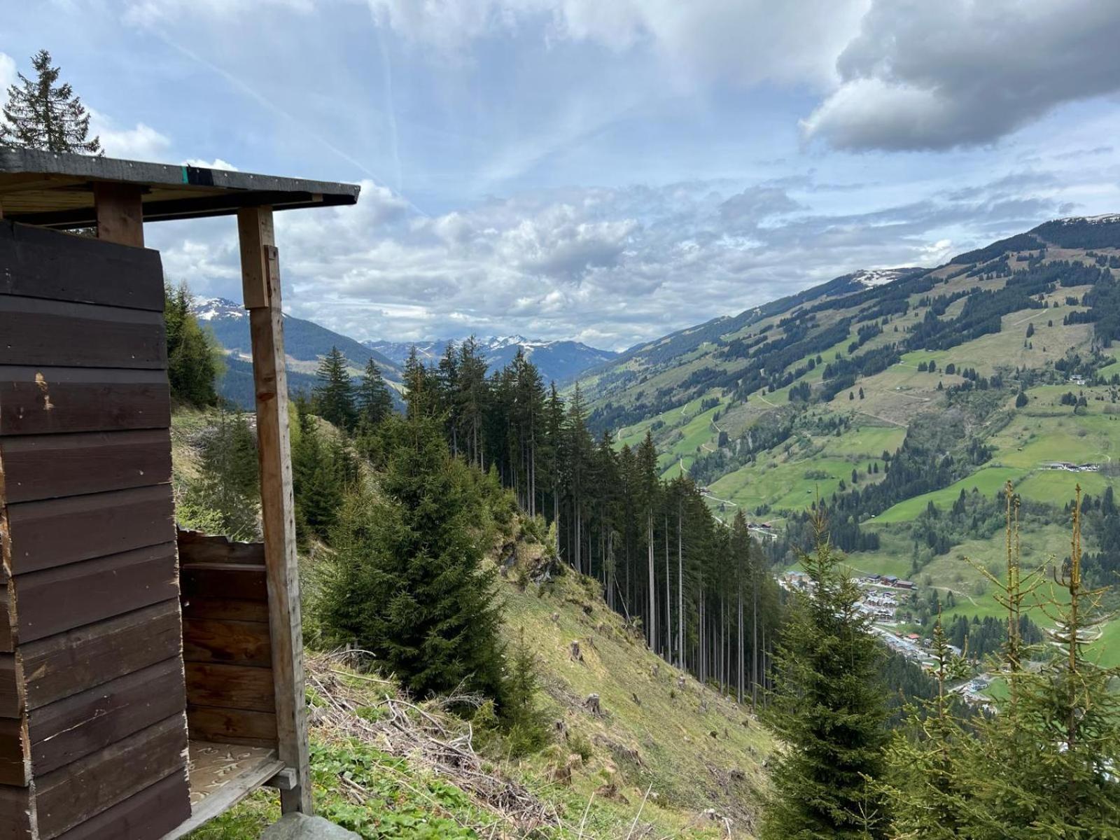 Landhaus Servus Viehhofen Bagian luar foto