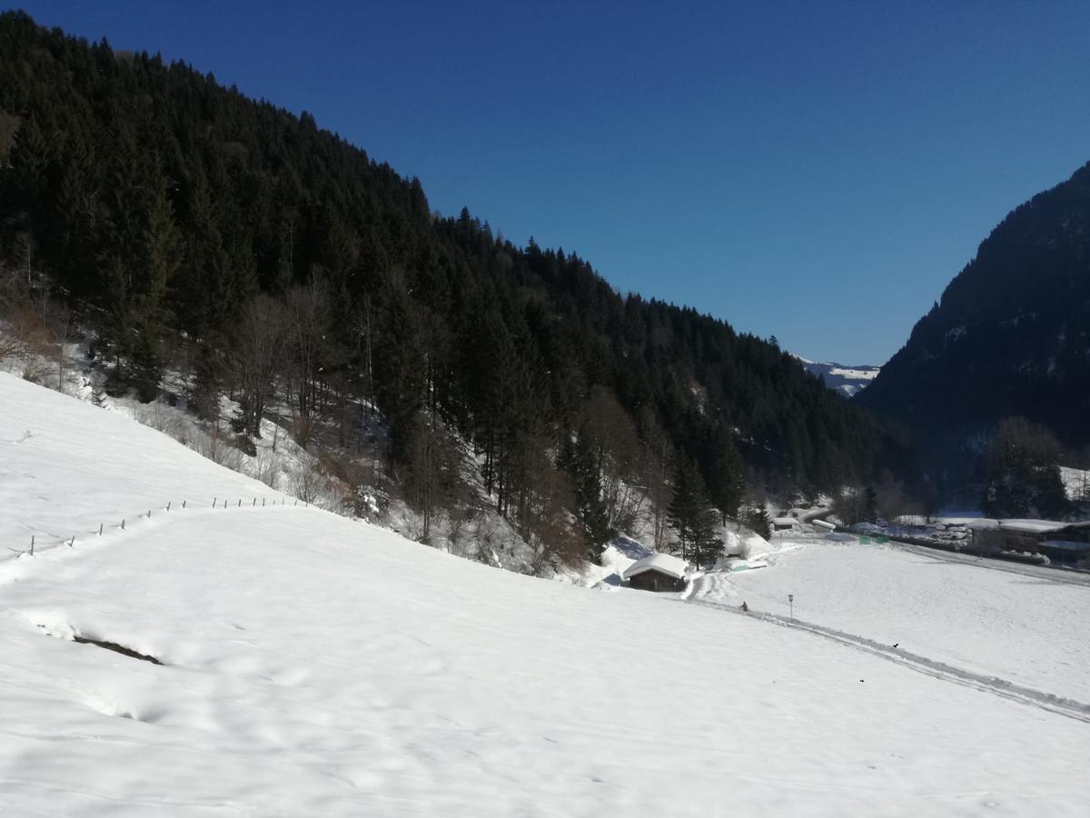 Landhaus Servus Viehhofen Bagian luar foto
